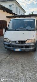 furgone Fiat Ducato 