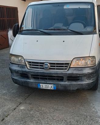 furgone Fiat Ducato 