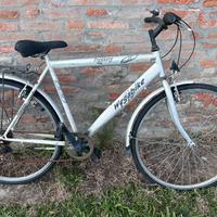 Bicicletta uomo