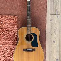 Chizarra Washburn D-12 acustica + custodia Rockbag