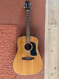 Chizarra Washburn D-12 acustica + custodia Rockbag