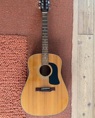 Chizarra Washburn D-12 acustica + custodia Rockbag