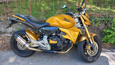 Honda Hornet