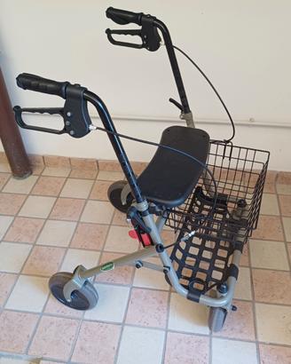 Deambulatore per esterni