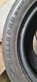 Gomme estive mai usate