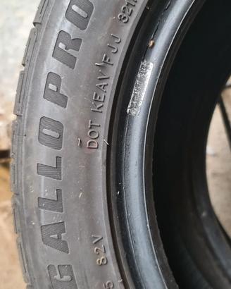 Gomme estive mai usate