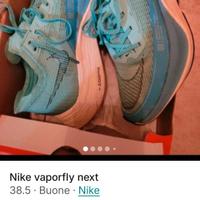 Nike vaporfly next