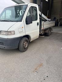Ducato