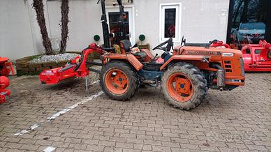 trinciatura erba e ramaglie 