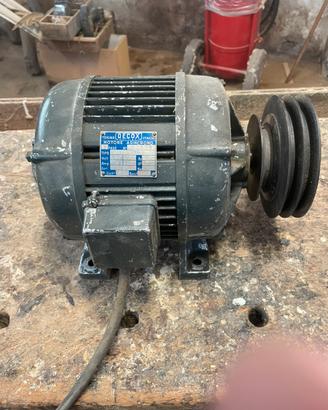 Motore elettrico