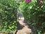 Immagine 26