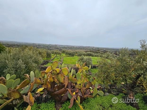 3,5 H. Terreno Con Deposito e Pozzo - Vista 3