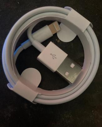 Cavo ricarica rapida USB-Lightning iphone