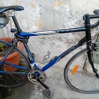 Bici da corsa