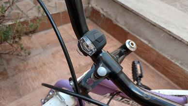 Bici Magnum