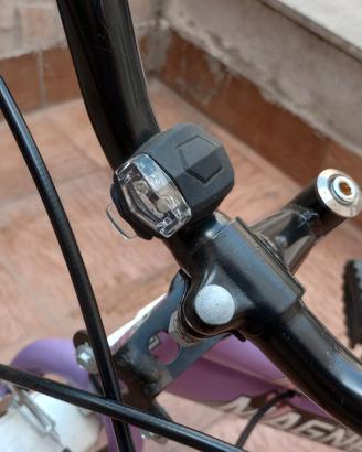 Bici Magnum