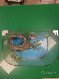 acquario/terrario