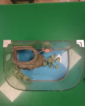 acquario/terrario