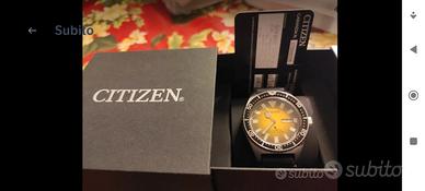 Citizen promaster  