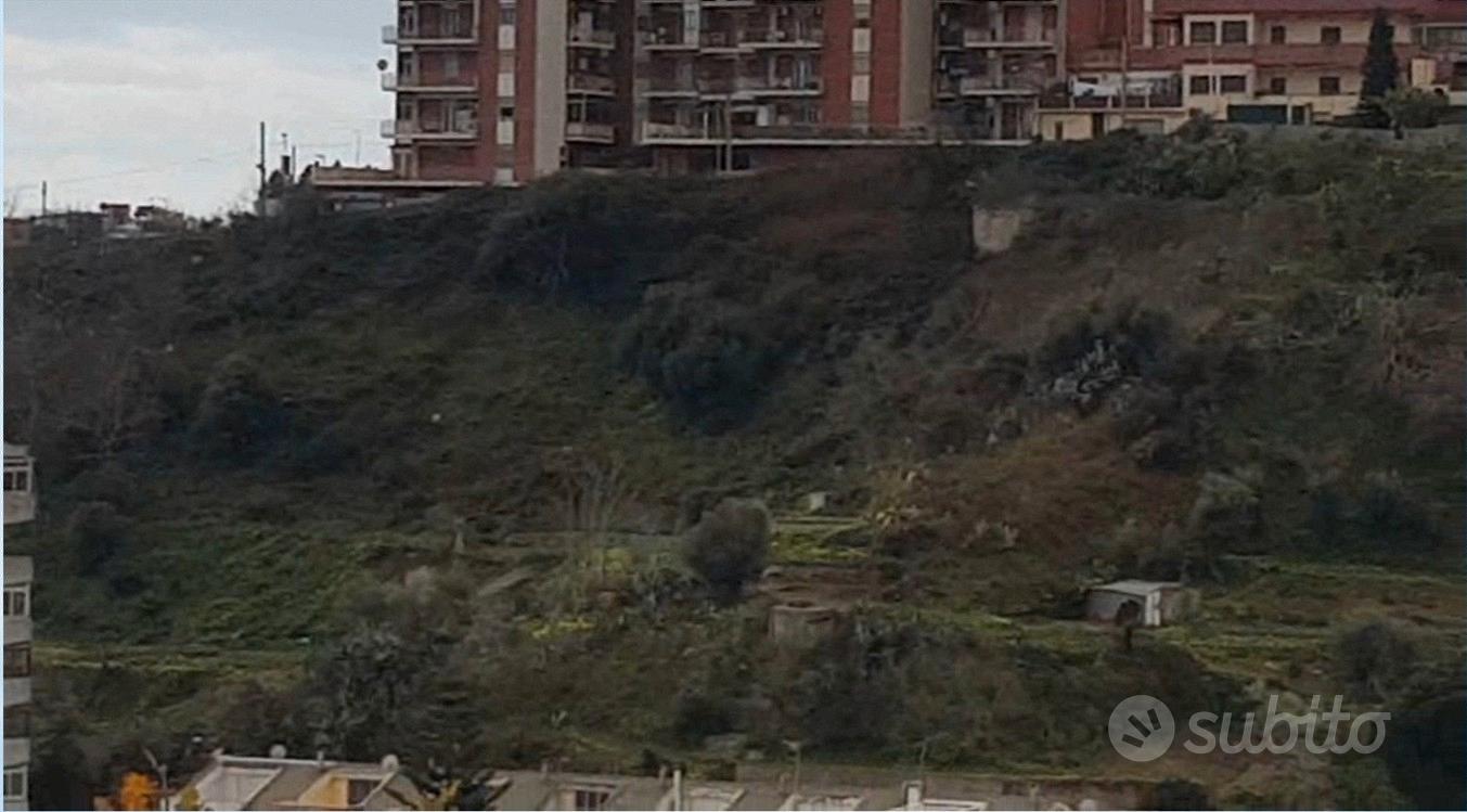 Vendita terreno per attrezzatura sportiva - Vista 2
