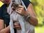 Immagine 4