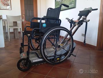 montascale per anziani o disabili 
