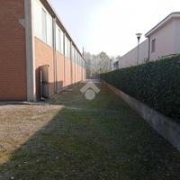 CAPANNONE A LANGHIRANO