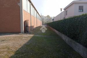 CAPANNONE A LANGHIRANO