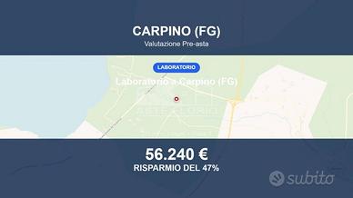 Immobile in asta di 225 m² a Carpino
