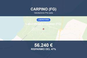 Immobile in asta di 225 m² a Carpino