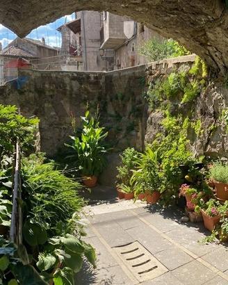 Casa Semindipendente - Vignanello