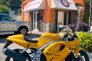 Triumph Daytona 955 i 1998 ( MY 1999)