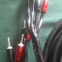CAVI AUDIOQUEST E VAN DEN HUL