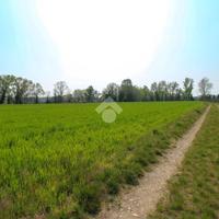 TER. AGRICOLO A POLPENAZZE DEL GARDA