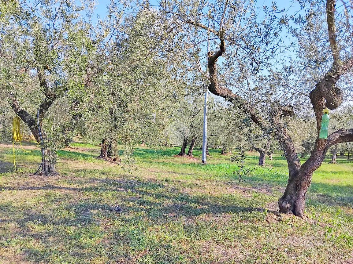TER. AGRICOLO A MOSCUFO - Vista 4