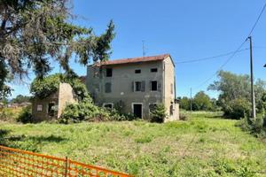 ABITAZIONE RUSTICA IMMERSA NEL VERDE: rigenera ...