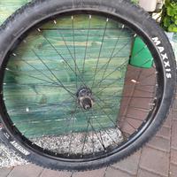 ruote mtb 29