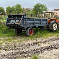 Spandiletame posteriore