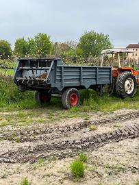 Spandiletame posteriore