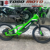 Kawasaki  Elektrode 20