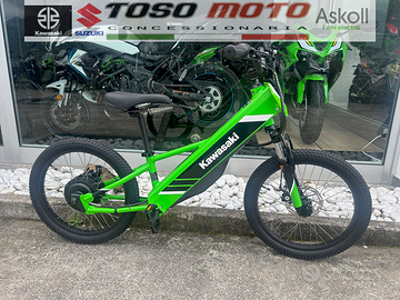 Kawasaki  Elektrode 20