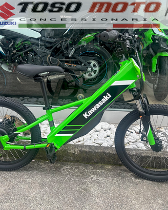 Kawasaki  Elektrode 20