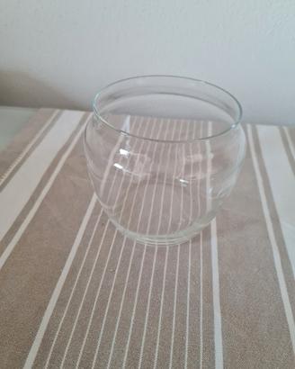 Vaso per terrarium 
