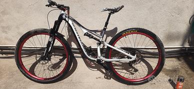 spacialized stumpjumper  29 