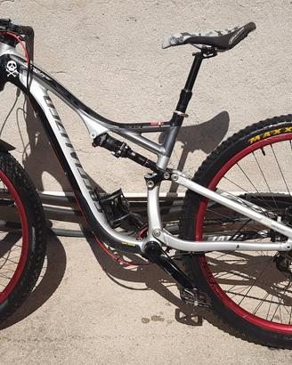 spacialized stumpjumper  29 