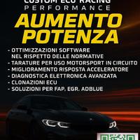 elaborazioni  centraline