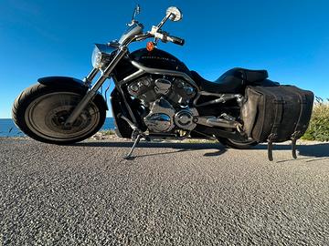 Harley VRod 2004