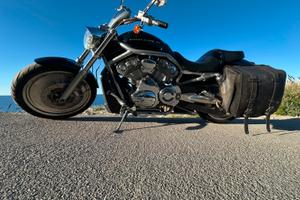 Harley VRod 2004