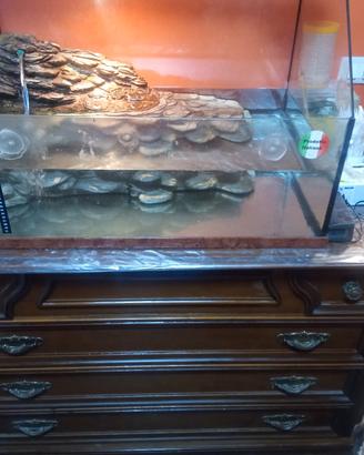 Acquaterrario tartarughe/anfibi/pesci