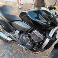 Honda Hornet